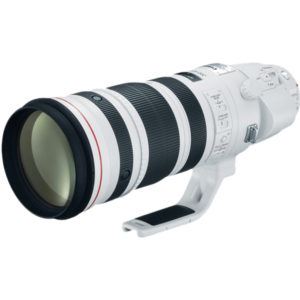 Canon EF 200-400mm f/4L IS USM Lens With Extender 1.4x