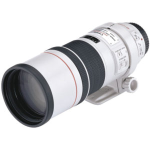 Canon EF 300mm f/4 L IS USM Lens