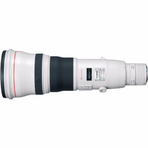 Canon EF 800mm f/5.6 L IS USM Lens