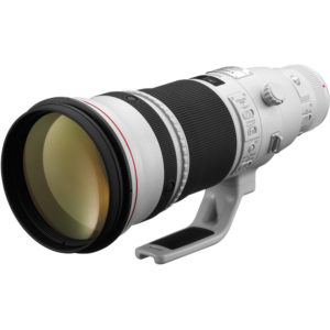 Canon EF 500mm f/4L IS II USM Lens